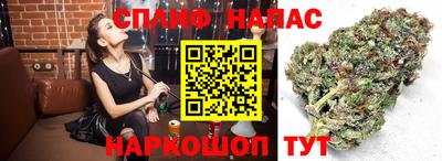 гашик Ливны