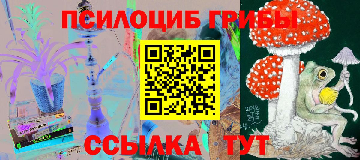 Псилоцибиновые грибы мицелий Гурьевск