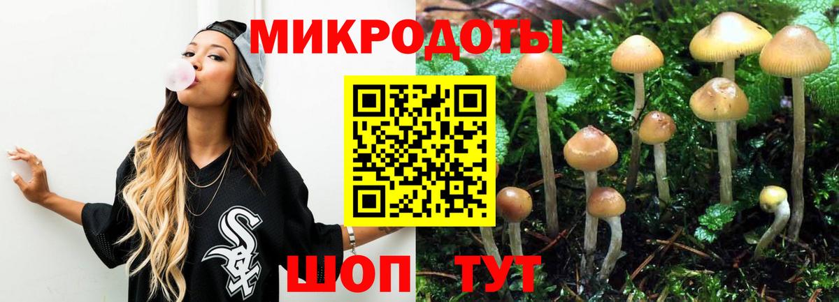 Галлюциногенные грибы мухоморы  Вход с VPN  хочу   Гурьевск 